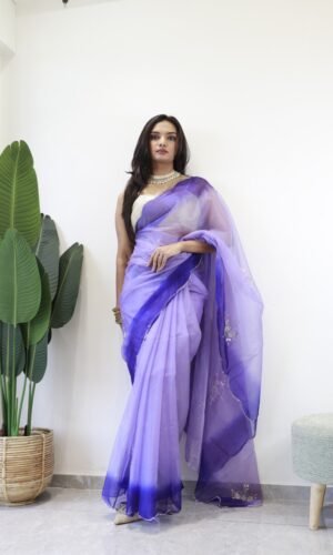 Organza Shaded Handwork Saree