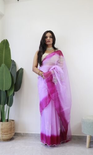 Organza Shaded Handwork Saree