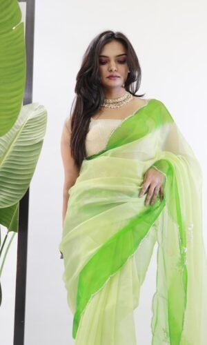 Organza Shaded Handwork Saree