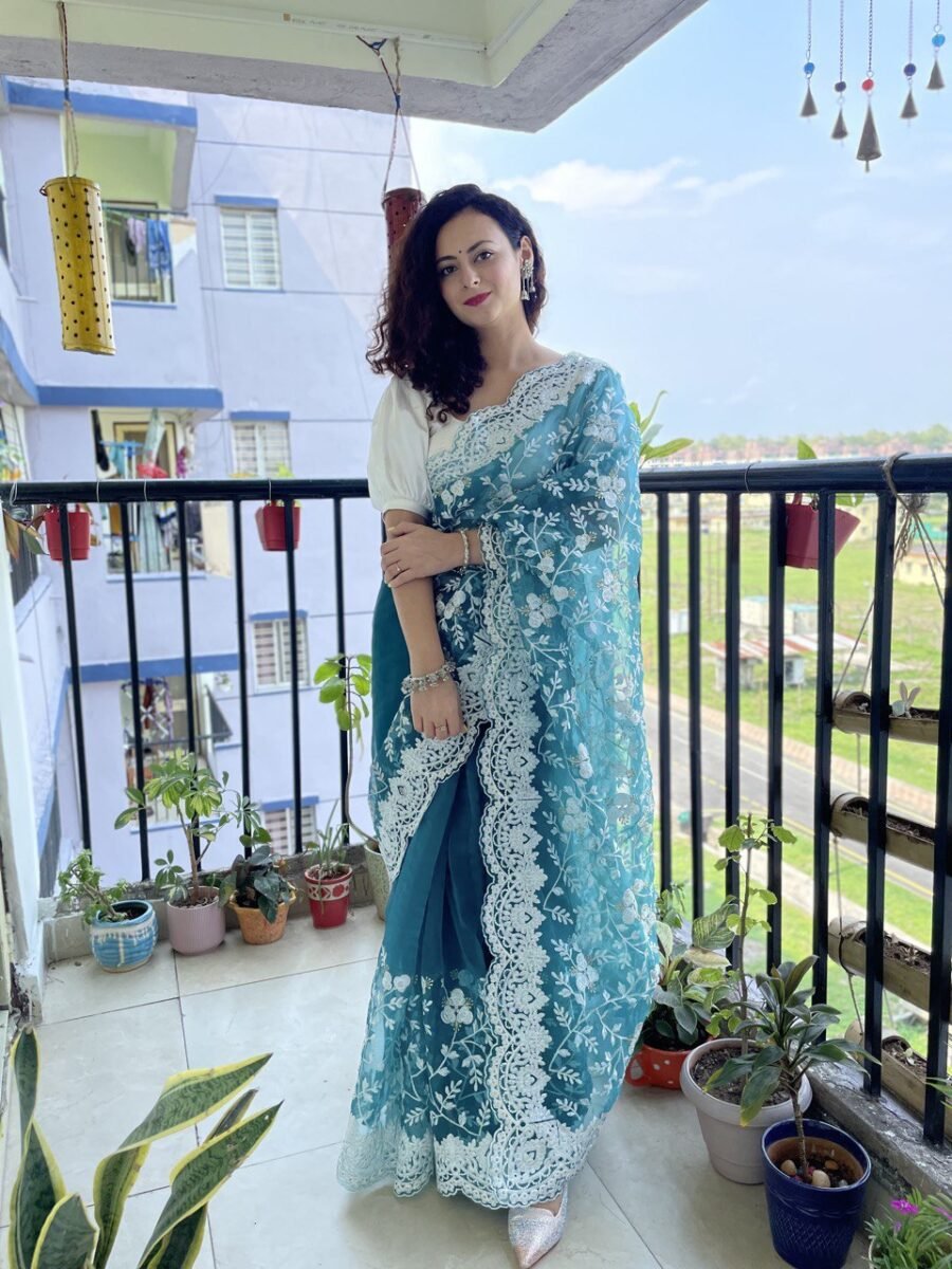 Organza Chikankari Embroidery Saree