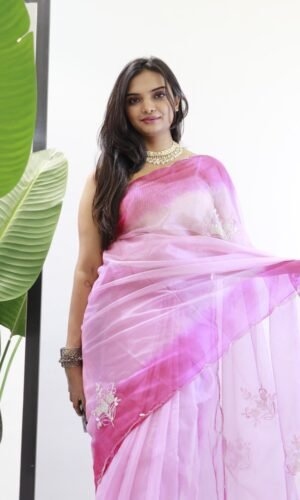 Organza Shaded Handwork Saree